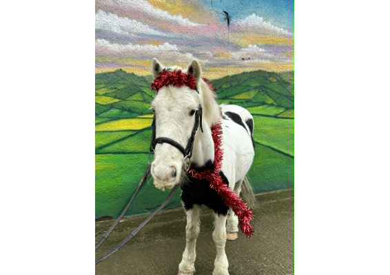 Voucher Template 12021